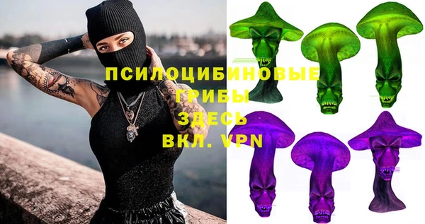 мет Няндома
