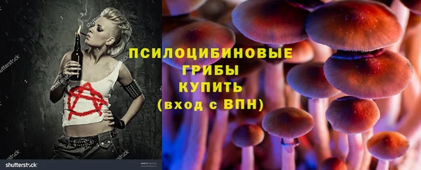 бутират Белая Холуница