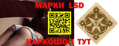 мдпв Гудермес