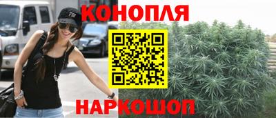 СК Гуково