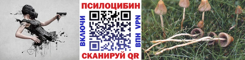 mega   Алапаевск  Псилоцибиновые грибы MAGIC MUSHROOMS  закладка 