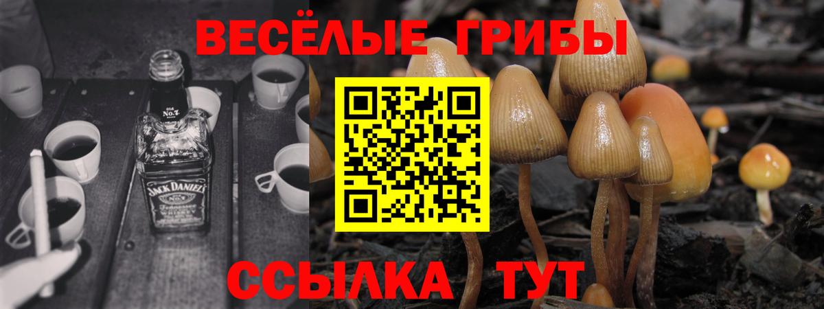 Псилоцибиновые грибы прущие грибы  Вход с VPN  Галлюциногенные грибы GOLDEN TEACHER  купить наркоту  Алапаевск 